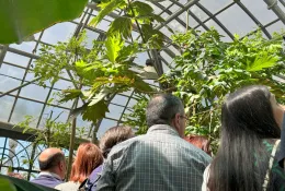 Fuori dal semi-nato: coltivare il domani tra semi, terra e comunit&agrave; all'Orto botanico 'Pietro Castelli'