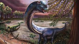 Scoperto il Nagatitan, il colosso asiatico da 27 tonnellate: riemerge in Thailandia il dinosauro pi&ugrave; grande del Sud-Est asiatico  
