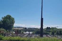 Il mistero del coccodrillo di Pistoia: Indagini a tutto campo nel laghetto artificiale