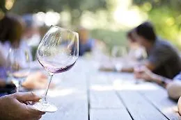 Il weekend  passa da "Cantine Aperte": l'elenco delle aziende che accolgono i wine lover in Sicilia