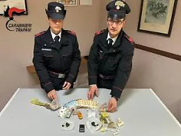 Carabinieri di Castelvetrano, con il fiuto di Ron, arrestano coppia a Santa Ninfa: sequestrati circa 140 grammi di droga e 1.500 euro