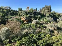 La natura si fa strada: tornano le Camminate nella biodiversit&agrave; del FAI alla Kolymbethra 