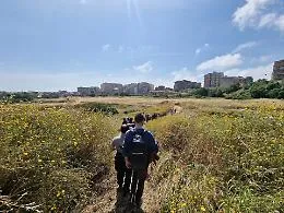 Orti di Cibali, il Consorzio: &laquo;Nessun abbandono, l'incendio era doloso. Anche noi vogliamo il parco pubblico&raquo;