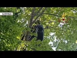 Appeso a 15 metri da terra, il video del salvataggio di un parapendista