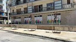 Ragusa, piantumati nuovi alberi in via Benedetto Croce
