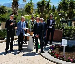 Talea dell'Albero Falcone piantumata alle Cantine Rapital&agrave;