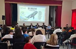 Ventimila bottiglie diventano arte: la grande Balena del riciclo conquista gli studenti di Sciacca e Caltabellotta