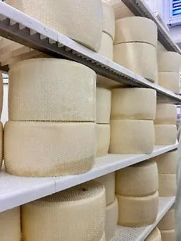 Dalla ricotta alla quagliata, ode al formaggio alla Sagra del Quisquina Cheese Festival il 30 e il 31 maggio