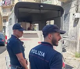 Tre pony sequestrati in un immobile fatiscente a San Cristoforo: sospetta corsa clandestina