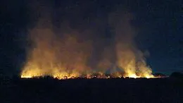 Acate, notte di incendi in contrada Capraro