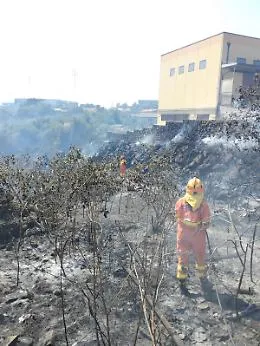 Rogo doloso a Piano Tavola: fiamme dominate dopo i lanci degli elicotteri