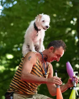 &ldquo;Cirque&rdquo;, ultimo atto a Zō: Unnico e Ugo, la complicit&agrave; fra Andrea D'Amico e il suo cane