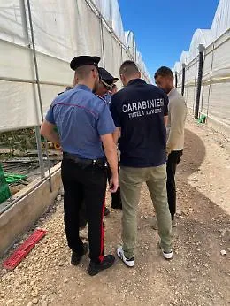 Lotta al caporalato, 18 aziende agricole irregolari nel Palermitano