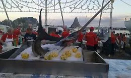 Dal pesce spada alla vastedda cu sammucu:  feste, sagre, eventi del weekend in Sicilia