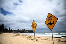 Squalo attacca a Coogee Beach: donna di circa 30 anni gravemente ferita