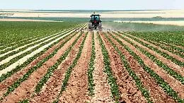 Agricoltura, Lollobrigida: &laquo;Sistema italiano tra i pi&ugrave; forti d&rsquo;Europa&raquo;