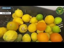Alimenti non tracciati, lavoratori irregolari e laboratori sporchi: multa e sequestri in un bar a Catania