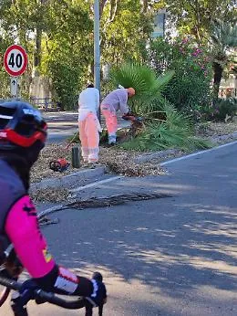Catania, manutenzione sulle provinciali: pi&ugrave; sicurezza e decoro per le strade