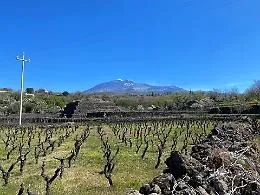 &ldquo;Vulcanica&rdquo; , i produttori di vino del versante Sud-Ovest dell&rsquo;Etna si riuniscono a Biancavilla