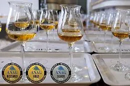 Alambicco d'oro, tra grappe, drandy e gin ecco  chi sono i siciliani che conquistano medaglie 