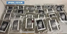 Vaccarizzo: cittadini segnalano movimenti sospetti, sequestrati 20 kg di marijuana