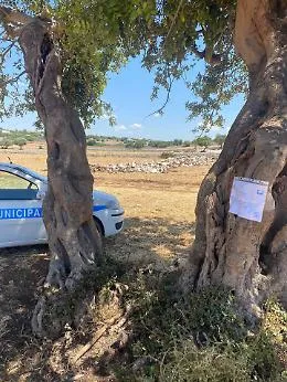 Modica, scatta il sequestro preventivo in contrada Zappulla