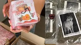 I loghi della droga per identificare la qualit&agrave; stupefacente: dal "Buffalo Plein Hash" alla marijuana del capo-branco