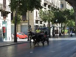 Palermo, nuova ordinanza a tutela dei cavalli delle carrozze: scattano i divieti per l'emergenza caldo
