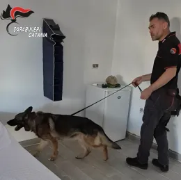 Il cane antidroga dei carabinieri fiuta il nascondiglio: arrestati due fratelli