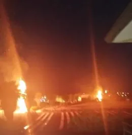 Incendi a Campobello di Licata, palme bruciate in centro: scatta la caccia ai piromani