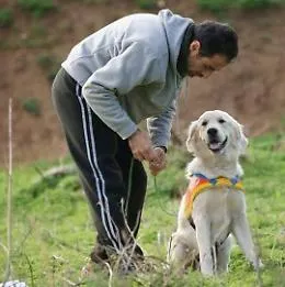 Morto Raskal, il cane eroe del terremoto di Amatrice: l'orgoglio dell'associazione "I Lupi di Agrigento"