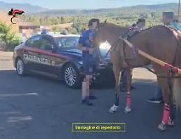 Corsa clandestina di cavalli nella notte: maxi blitz dei Carabinieri a Nicolosi 