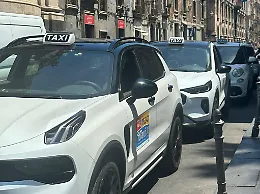 Taxi a Catania, il nuovo servizio notturno bloccato da un link web scaduto