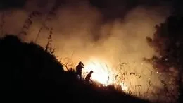 Fiamme nella notte ad Altavilla Milicia, paura in contrada Grotta Mazzamuto - L'allerta rossa per incendi in tutta la provincia