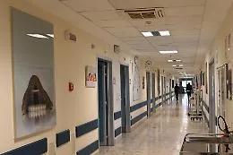 La Sicilia &egrave; la 15esima regione d'Italia per diffusione del testamento biologico: a Caltanissetta il dato pi&ugrave; alto