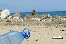 Un granchio imprigionato per due mesi in una bottiglia di plastica