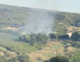 Vittoria, in fiamme la riserva del Pino D'Aleppo