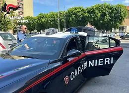 Minaccia il fratello con una roncola per vedere i nipoti: arrestato
