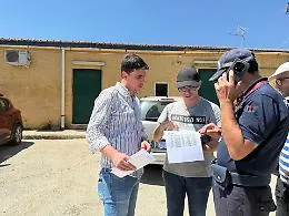 Cani in cerca di casa: l'assessore di Enna visita il canile Mimiani e lancia un appello alle adozioni