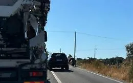 Auto contro vitelli sulla Ragusa-Vittoria