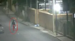 Blitz a Palermo, il nuovo fronte dell&rsquo;inchiesta dopo gli arresti: la catena di comando della mafia, gli affari di droga allo Zen e le armi nascoste