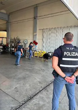 Controlli al mercato ortofrutticolo, elevate sei sanzioni amministrative