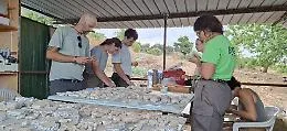 Segreti paleocristiani nella Valle dei templi: scoperto un mosaico e una vasca rituale