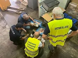 Non tracciabili, mal conservati e tenuti in un magazzino non idoneo: sequestrati e distrutti alimenti per le navi da crociera