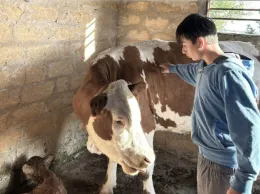 Ha sfidato le fiamme per salvare i suoi vitellini: il coraggio di Giuseppe a soli 14 anni