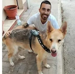 La morte di De Rossi, funerali rinviati a Citt&agrave; Giardino