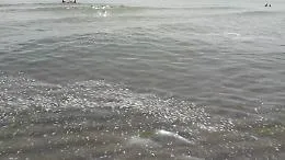 Mare nero alla foce del Simeto, bagnanti indignati: &laquo;Basta veleni nella nostra acqua&raquo;