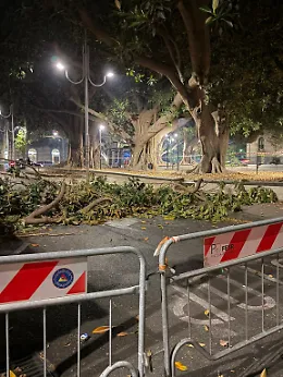 Sicurezza, viabilit&agrave; e manutenzione: il Comune intervenga