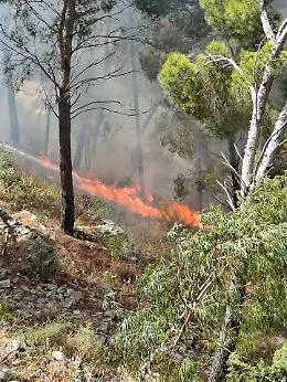 Modica e l'incendio, il presunto piromane evade dai domiciliari