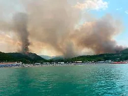 Fiamme fino al mare sul Gargano: turisti evacuati dalla guardia costiera tra Peschici e Vieste
